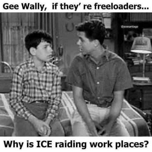 FB_IMG_1748956843600