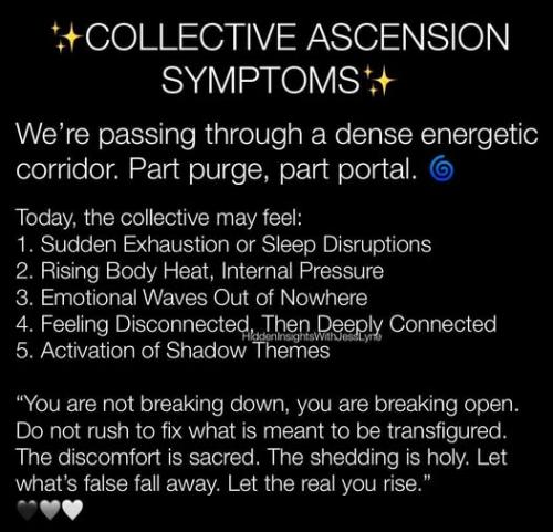 504271981_732304103019118_1695866581059546100_n