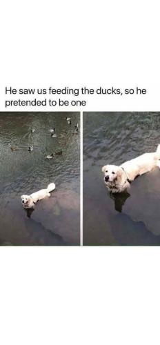 FB_IMG_1749161850014