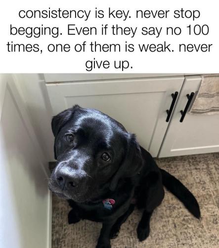 FB_IMG_1749683021597