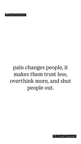 508427961_122233279178219227_2796674978128647261_n