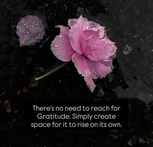 515007413_10171959506630344_3265800936400194094_n