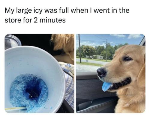 7dd7e6284a9d9849aff8c1de4bc8cb08