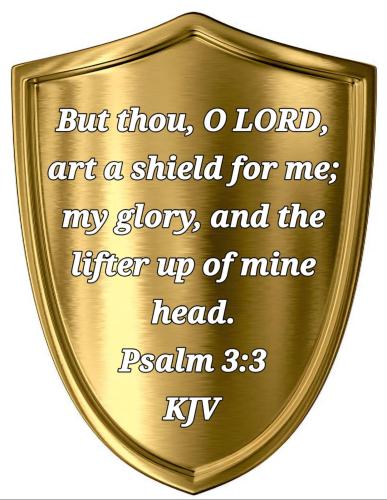 53436a50-57ee-4407-aed2-cbf4419596a6