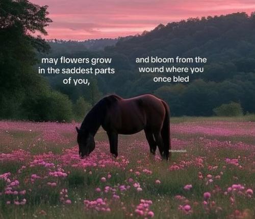 513680981_1410743716781394_5906684170632716608_n