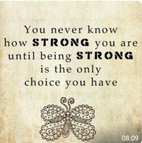 489954859_122125699790653883_9103161135659612809_n