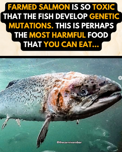 Screenshot 2025-06-17 103530