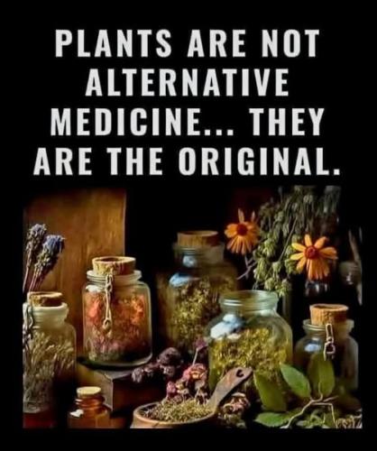 489859236_122136240902595365_8492370237107062107_n