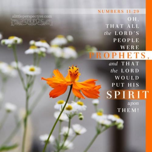 num-11-29-pixabay-9x-768x768