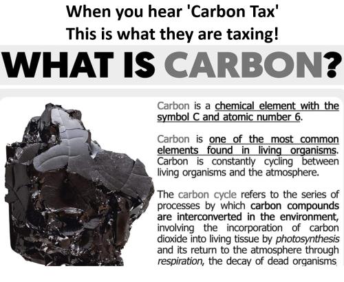 what is carbon