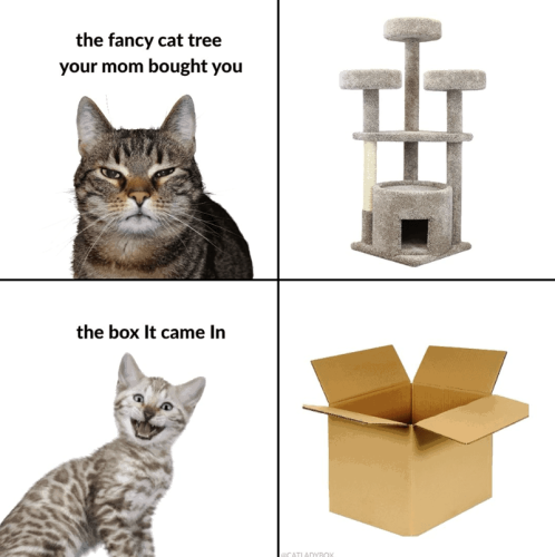 fancy-cat-tree-mom-bought-box-came-catladybox