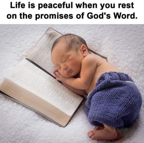 FB_IMG_1559798786302