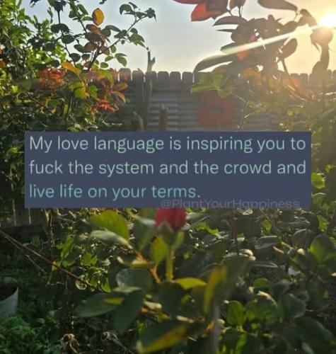 510453694_1182560450338977_1744577987093050435_n