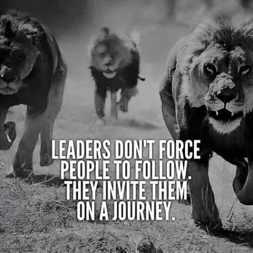 ea2a34d42105548660a2a27aa5011566_1024