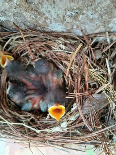 f1c72557-1549-4aaa-a825-3e7a6d25c156