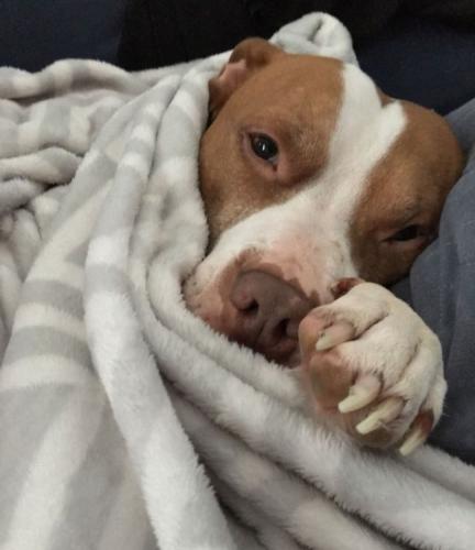 FB_IMG_1749646526834