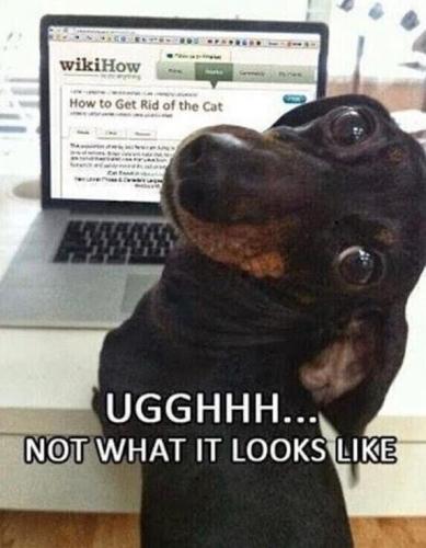 IMG_20250624_090643_865