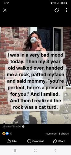 Screenshot_20250605_141245_Facebook