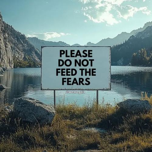 488782546_1115636077269798_8117843954579047164_n