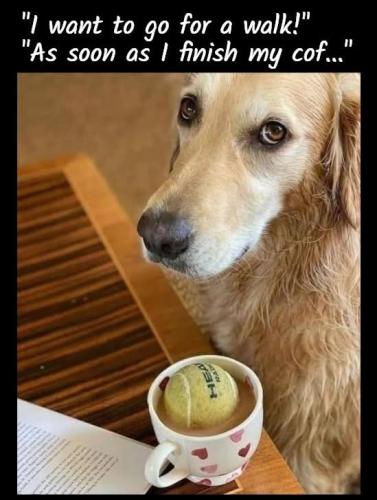 FB_IMG_1748961936713