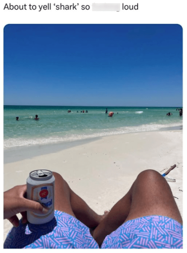 about-yell-shark-so-loud-ral