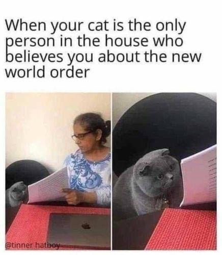 photo_2025-06-01_14-39-06