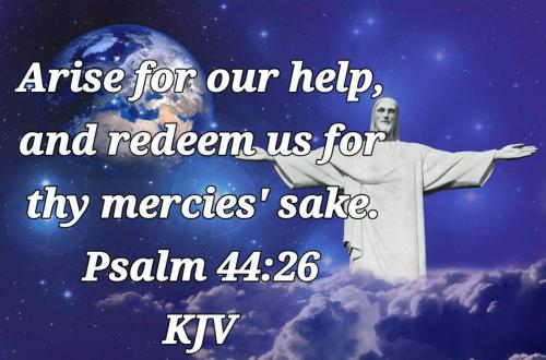 ab81a544-52fa-4063-982b-f9418c3eaebe