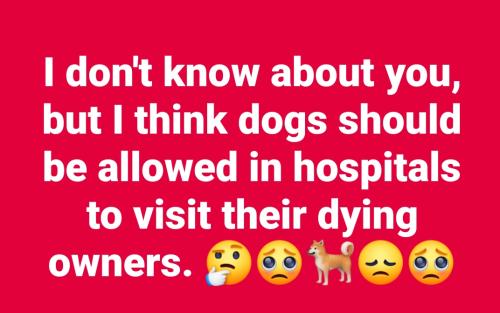 Screenshot_20250621_084510_Facebook_resized