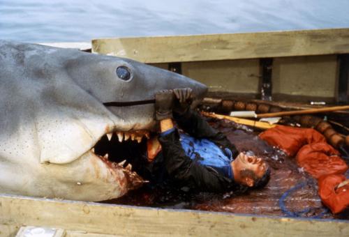 JAWS - Quint battling shark