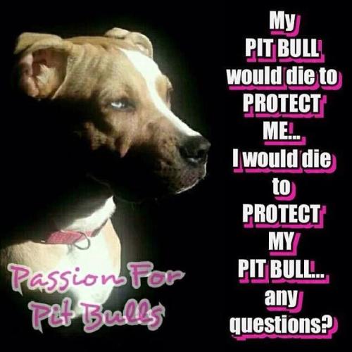 cf94fd7d4f5550f5b73b29f901e2b261