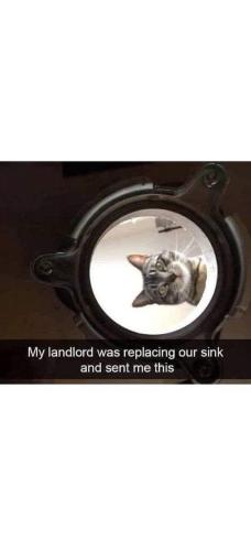 FB_IMG_1749236852258