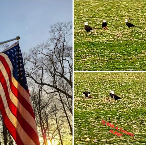 Screenshot_20250627_180205_Gallery