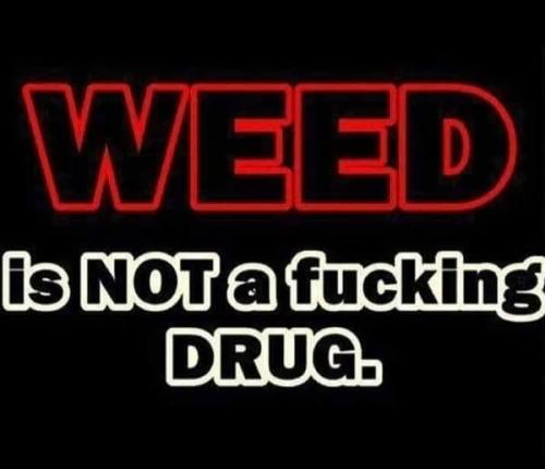 490747563_4105088153153120_3382183067876707397_n