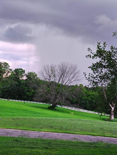 IMG_20250619_195700489_HDR