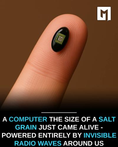 FB_IMG_1750300833254