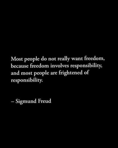 508189556_724738353775693_646142999447915268_n