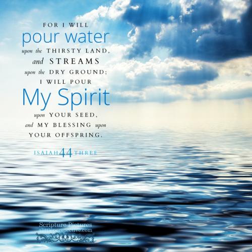 isa-44-3-JPS-pexels-1