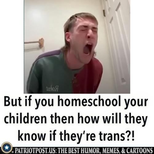 if you homeschool