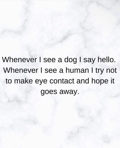 FB_IMG_1749065827346