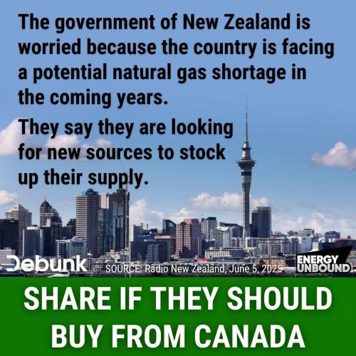 new zealand needs gas