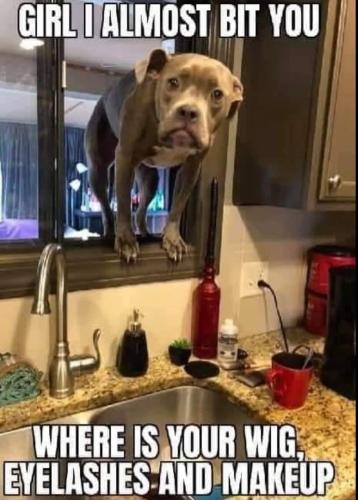 FB_IMG_1750438233957