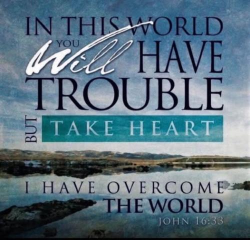 507180240_2460808540962116_4148717045751326351_n