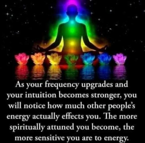 297ae5b55cc13879c624d18b80b5a1d7