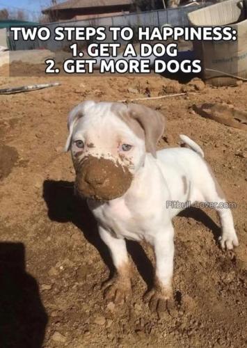 FB_IMG_1749683249994