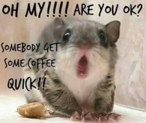 501808046_625525453875477_3622999487755351663_n