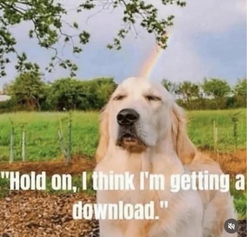 488650105_3111703515673528_550354842779833761_n