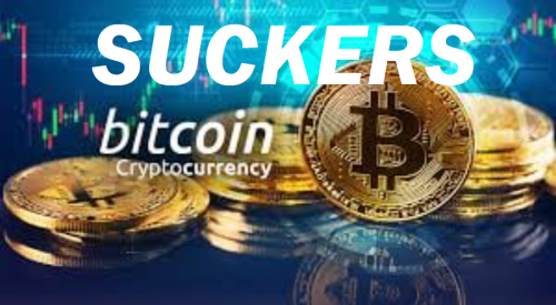 494573727_1921695631917045_3280264397348374103_n