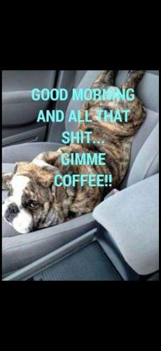 Screenshot_20250610_044157_Gallery