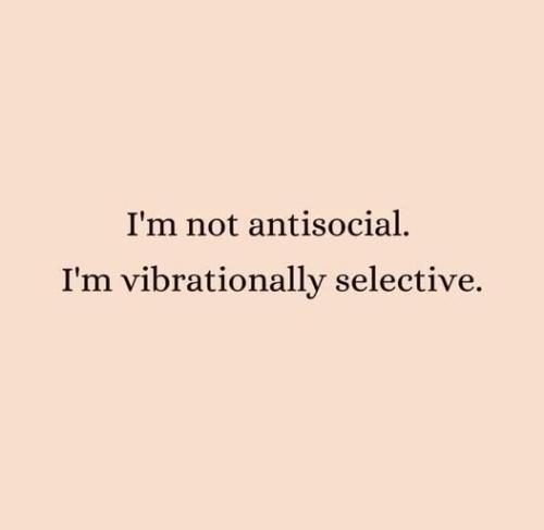 505382438_1538824480560701_584107139917816938_n