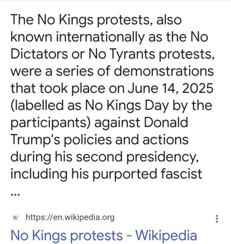 Screenshot_20250617_091622_Google(1)